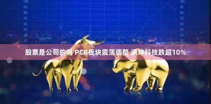 股票是公司的吗 PCB板块震荡调整 满坤科技跌超10%