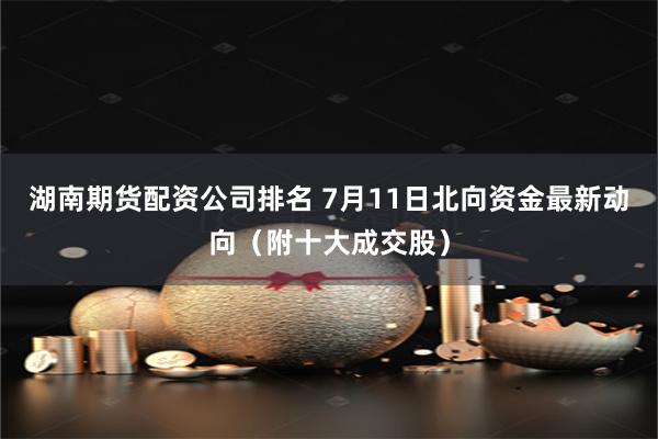 湖南期货配资公司排名 7月11日北向资金最新动向（附十大成交股）