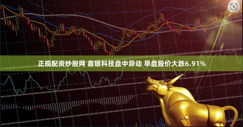 正规配资炒股网 嘉银科技盘中异动 早盘股价大跌6.91%