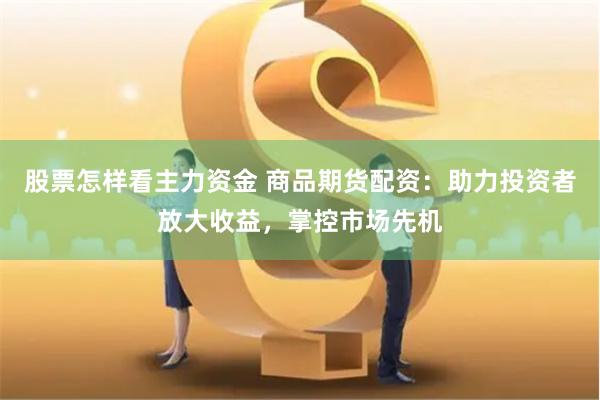 股票怎样看主力资金 商品期货配资:助力投资者放大收益,掌控市场先机